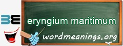 WordMeaning blackboard for eryngium maritimum